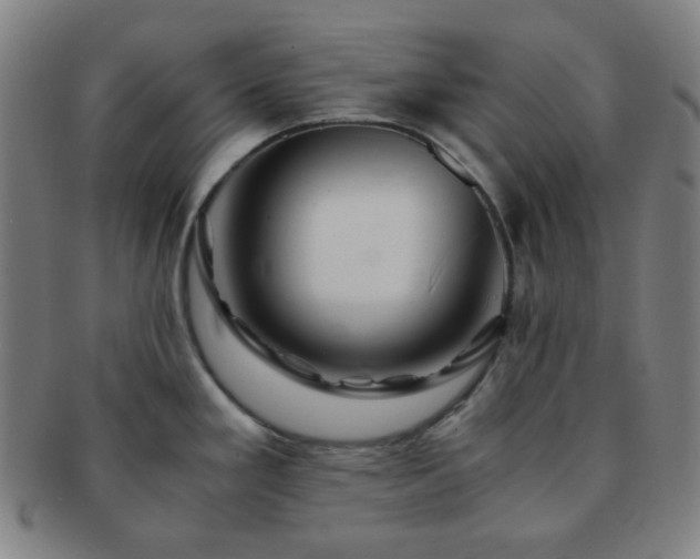 X0000091501293200708231436