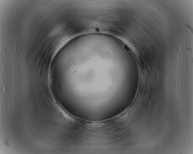 X0000091501294200708231436