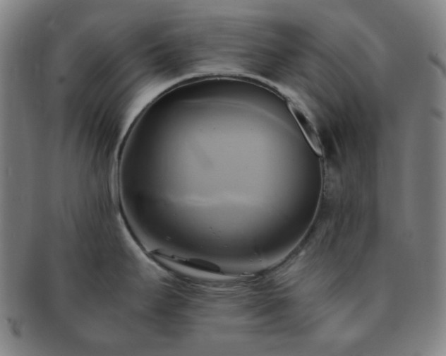 X0000091501295200708231436