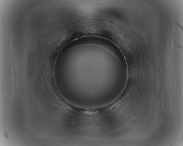 X0000091501297200708231435