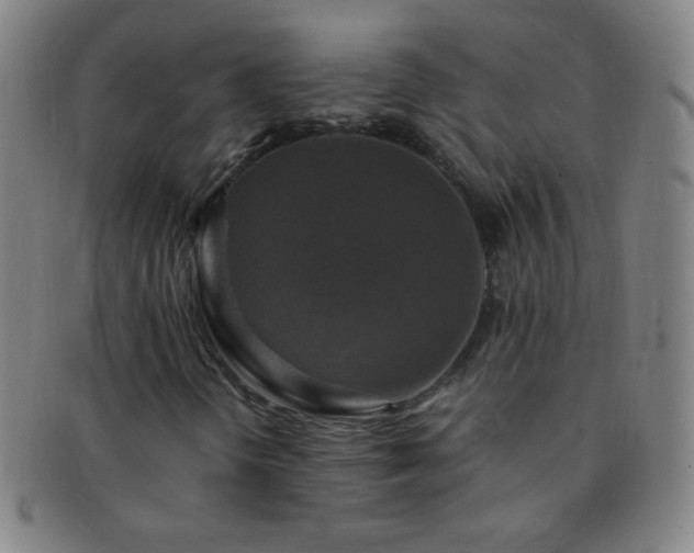 X0000091501298200708231435