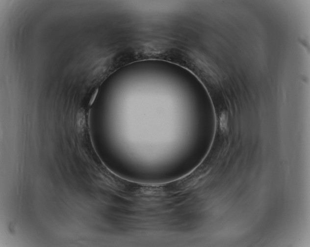 X0000091501299200708231435