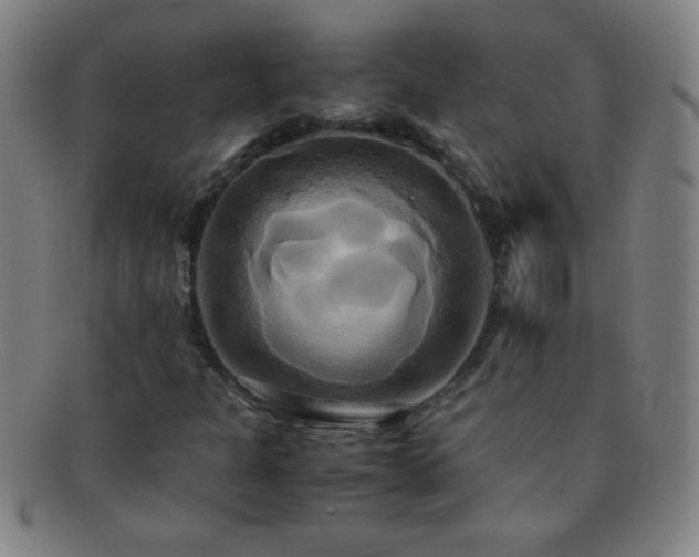 X0000091501301200708231435