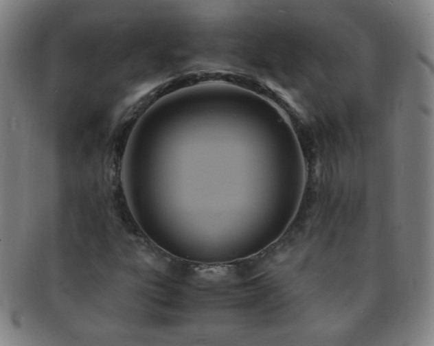 X0000091501303200708231435