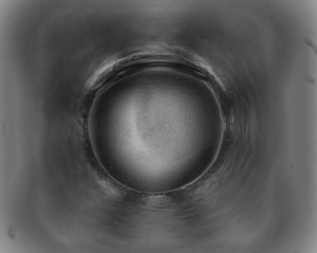 X0000091501304200708231435