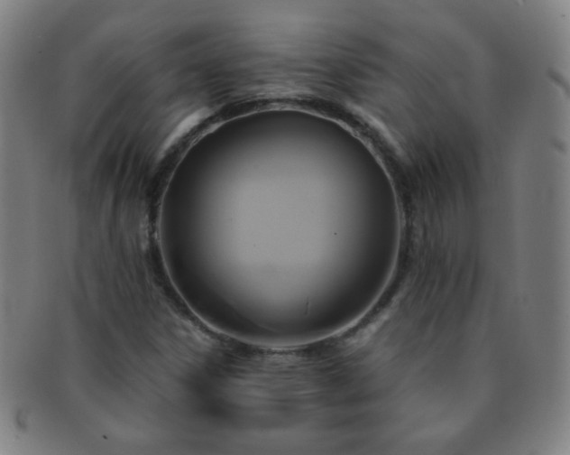 X0000091501306200708231436