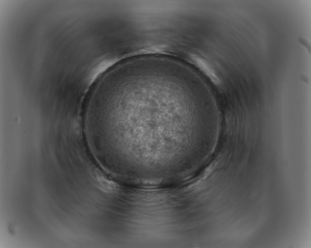X0000091501308200708231436