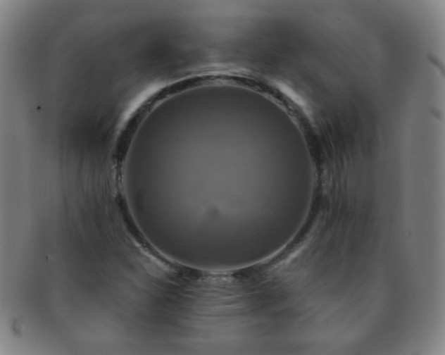 X0000091501310200708231436