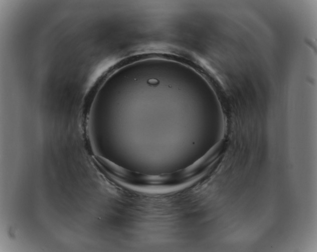 X0000091501312200708231436