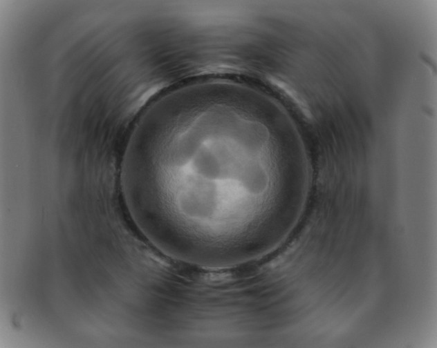 X0000091501313200708231436
