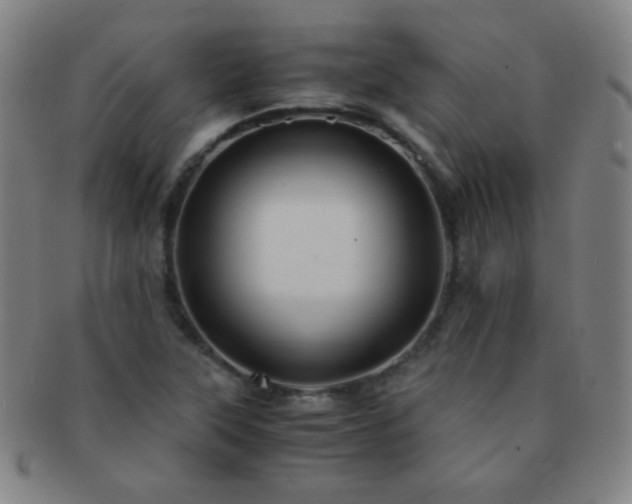 X0000091501315200708231436