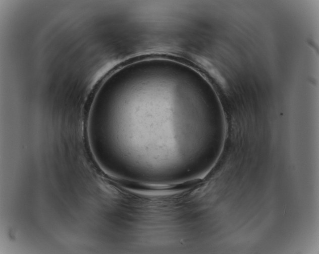 X0000091501316200708231436