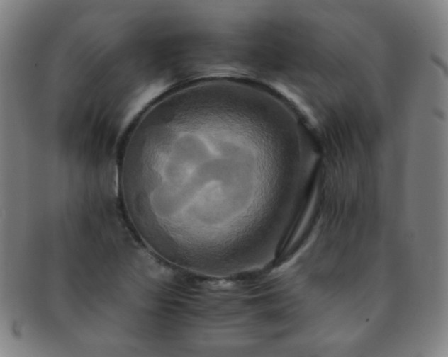 X0000091501317200708231436