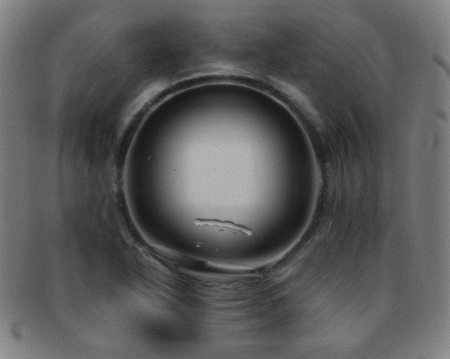 X0000091501318200708231436