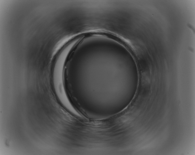 X0000091501319200708231436