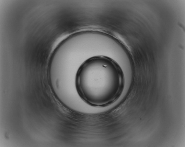 X0000091501320200708231436