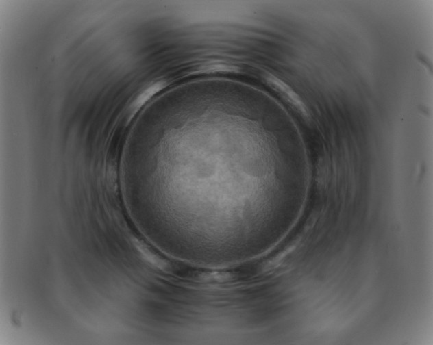 X0000091501321200708231436