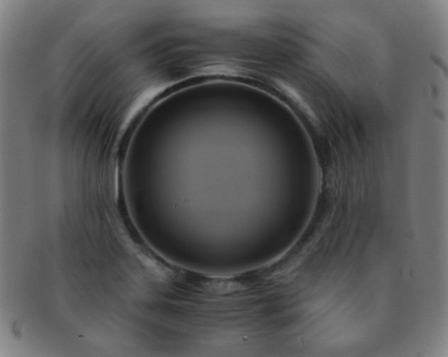 X0000091501323200708231436