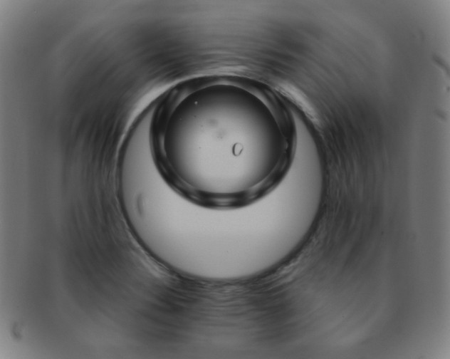 X0000091501324200708231436