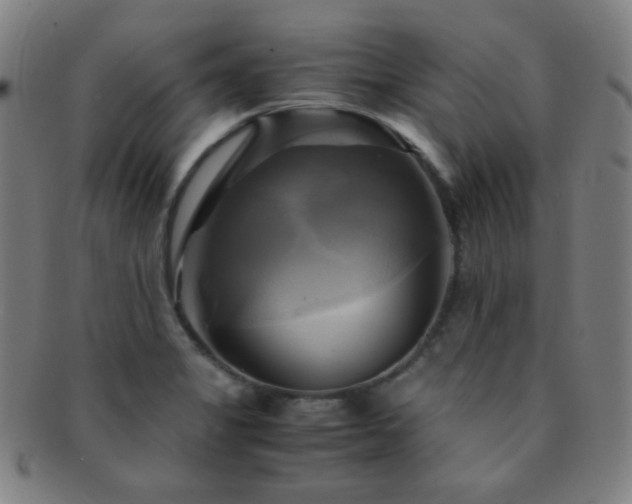 X0000091501325200708231436