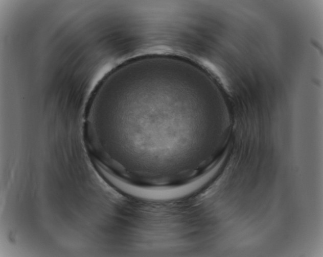 X0000091501326200708231436