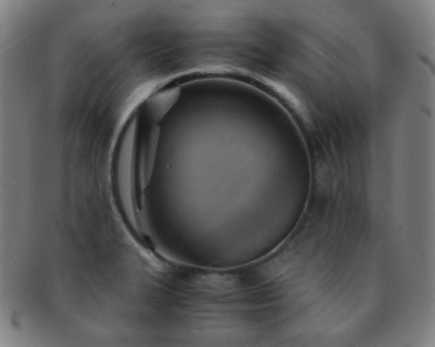 X0000091501327200708231436
