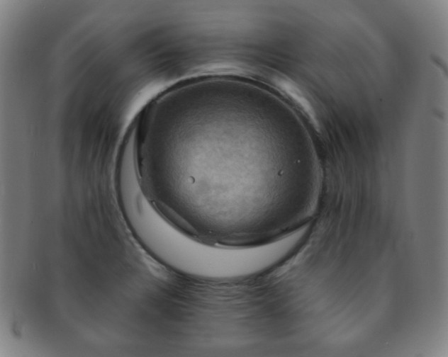 X0000091501328200708231436