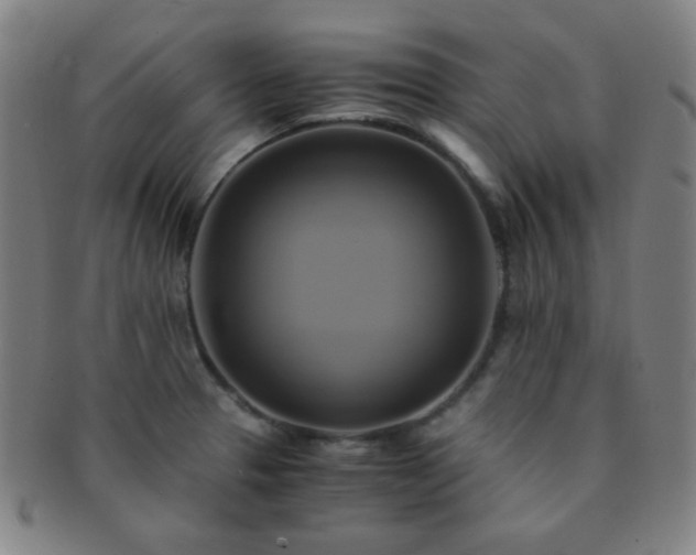 X0000091501329200708231436