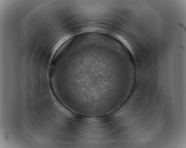 X0000091501330200708231436