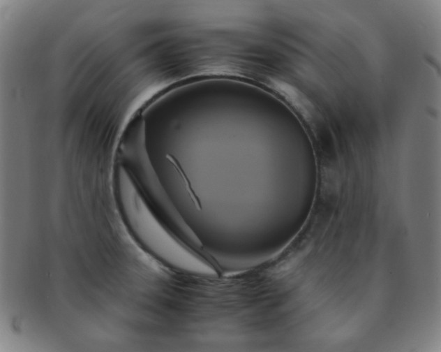 X0000091501331200708231436