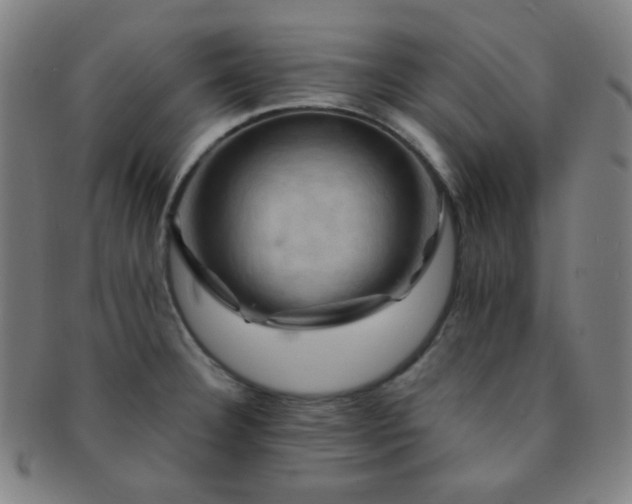 X0000091501332200708231436