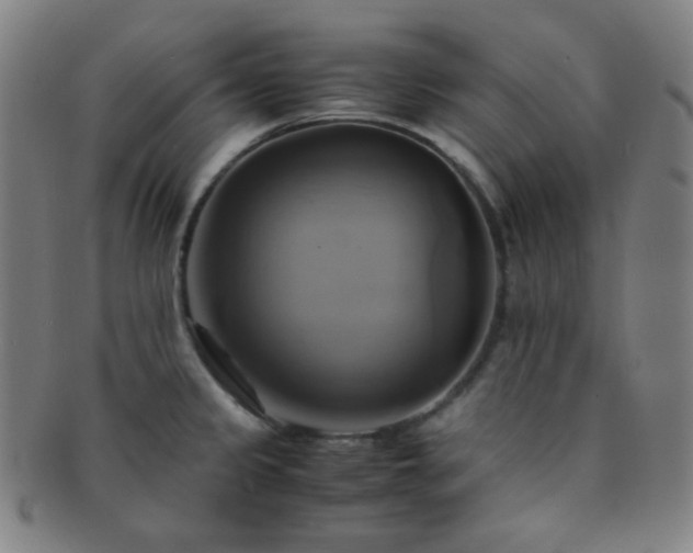 X0000091501333200708231436