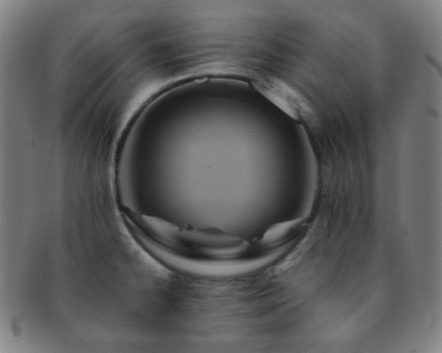 X0000091501334200708231436