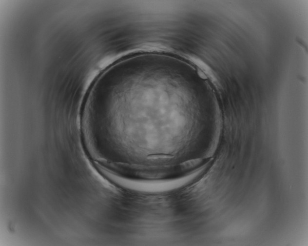 X0000091501335200708231436