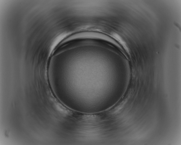 X0000091501336200708231436