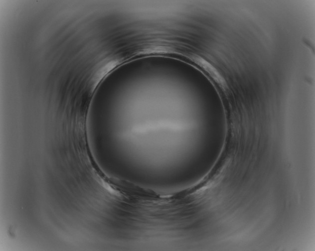 X0000091501337200708231436