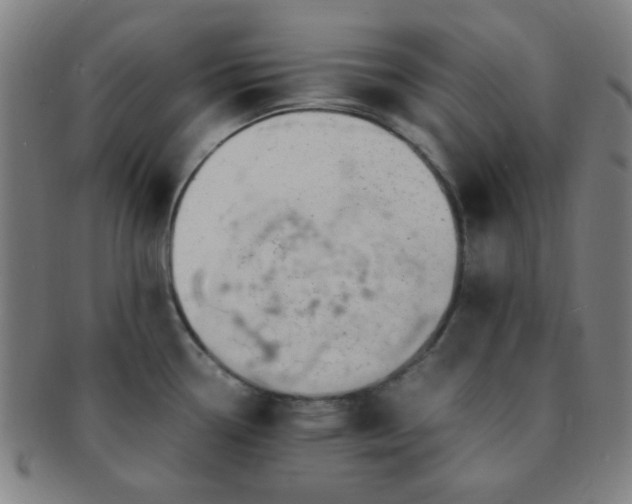 X0000091501338200708231436