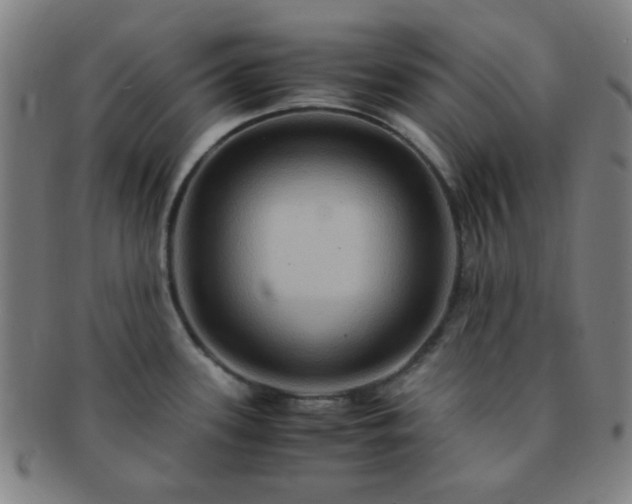 X0000091501339200708231436