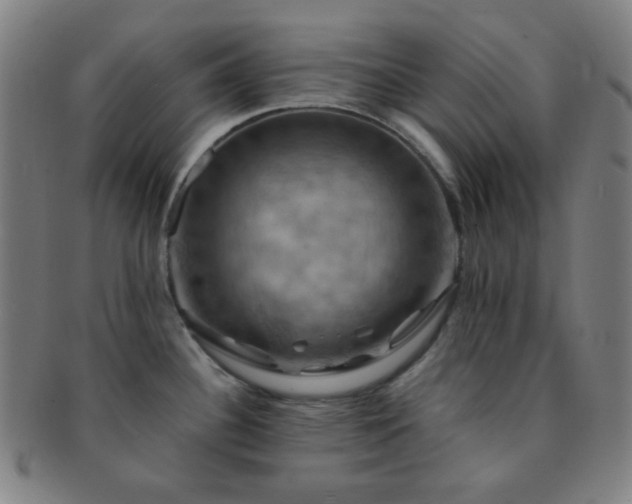 X0000091501340200708231436