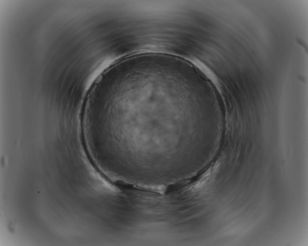 X0000091501341200708231436