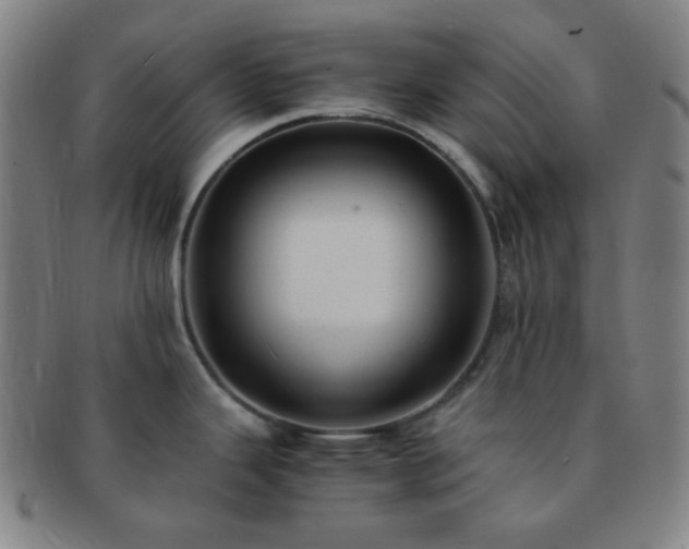 X0000091501343200708231436