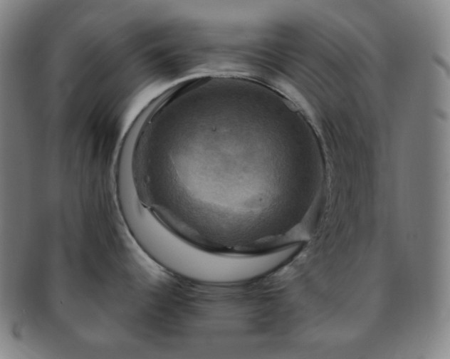 X0000091501344200708231436