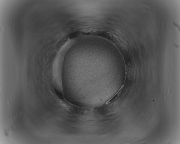 X0000091501345200708231435