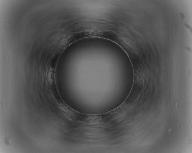 X0000091501346200708231435