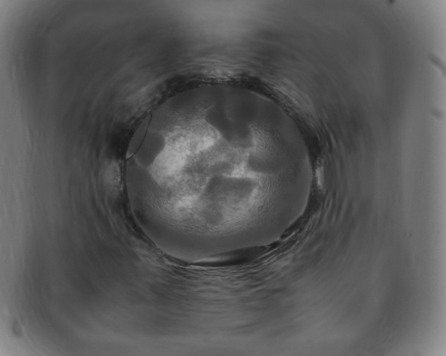 X0000091501347200708231435