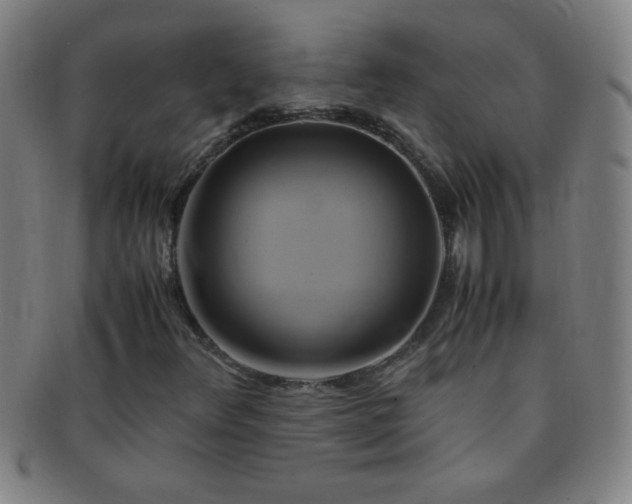 X0000091501348200708231435