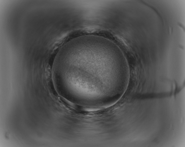 X0000091501349200708231435