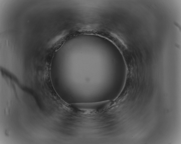 X0000091501350200708231435