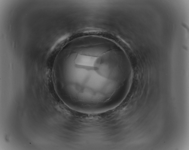 X0000091501351200708231435
