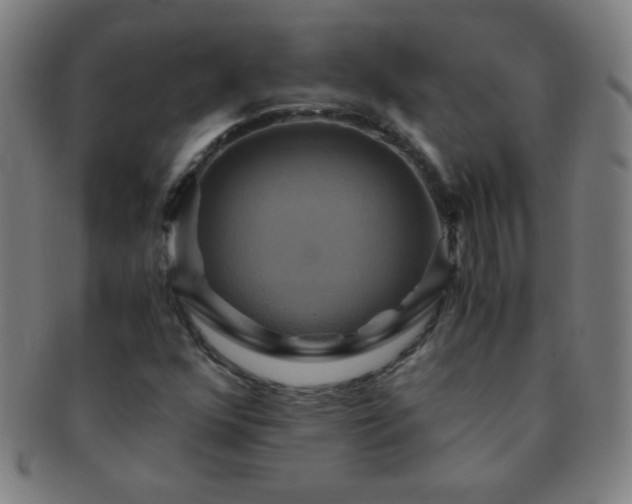 X0000091501352200708231435